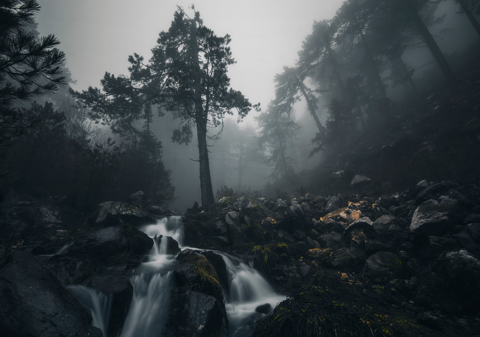 Dark Landscape